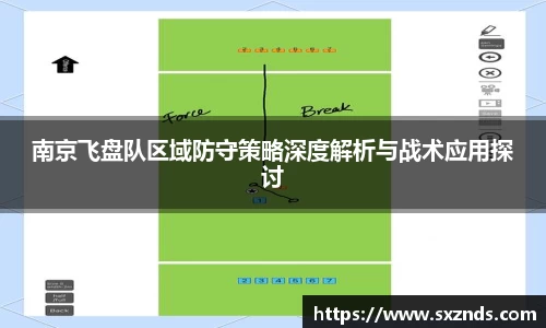 南京飞盘队区域防守策略深度解析与战术应用探讨